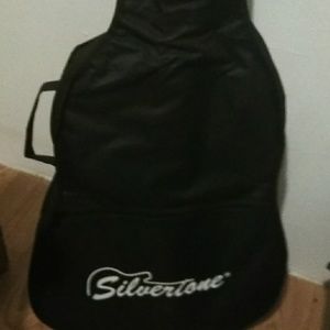 Silvertone guitar